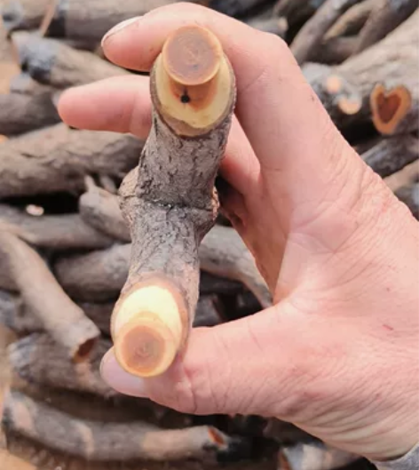 麻梨原叉弓 感兴趣的话点“我想要”和我私聊...