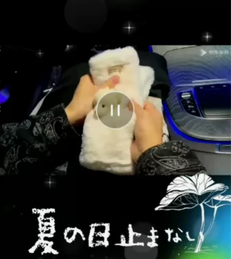 韩版冬季新款可爱小熊毛绒围巾，小熊围巾-白...