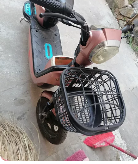 飞鸽电动车 骑几个月 不带电池  车子都正...