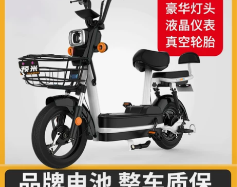 新国标金果plus电动车48V天能电瓶小型...
