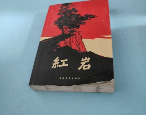 正版二手 包邮  红岩 罗广斌 著 中国青...