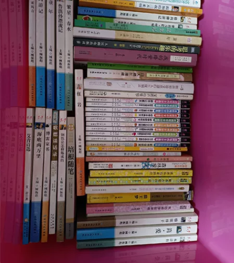 骆驼祥子，简爱，水浒传，红岩，繁星春水，鲁...