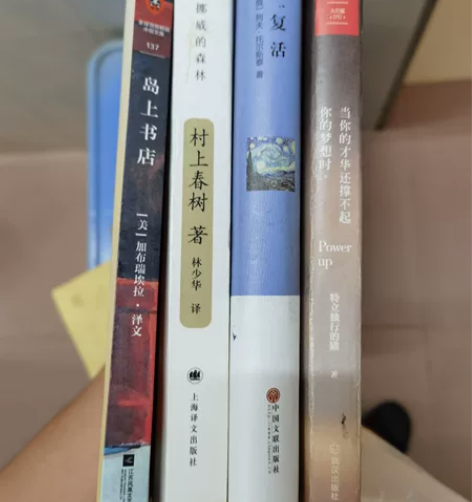 清理书本 岛上书屋、挪威森林、复活还有一本...