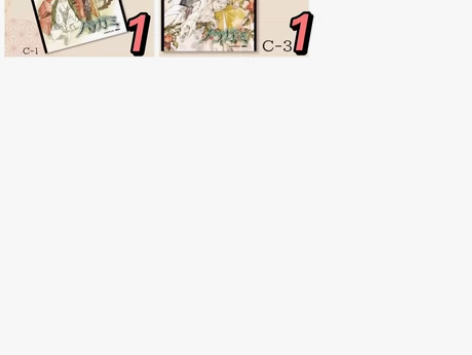 5、【野良神Animate抽赏】 C1(无...