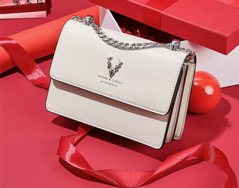 啄木鸟2023新品春夏法式小众单肩链条斜挎...