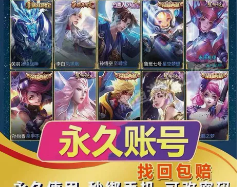 王者荣耀满皮至尊宝凤求凰天鹅之梦全息鸣剑曳...