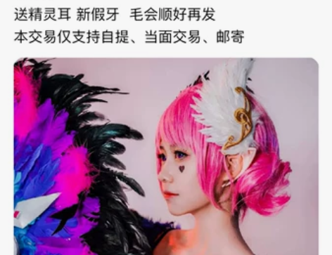 小乔天鹅之梦，大全套，翅膀是定做的大翅膀，...
