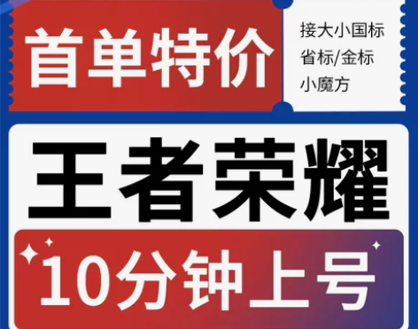 王者荣耀代练代打排位巅峰赛陪玩上分英雄战力...