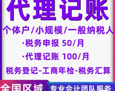 全国小规模公司代理记账报税 个体户企业做账...