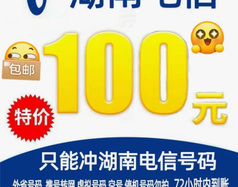 湖南电信充值 拍下发我手机号即可 100/...
