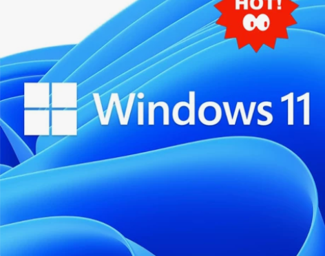 Win11专业版，Windows11家庭版...