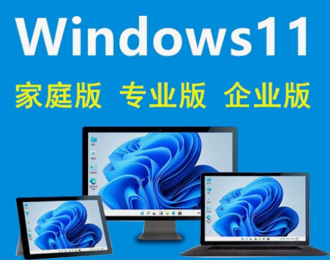 Windows11专业版操作系统，支持远程...