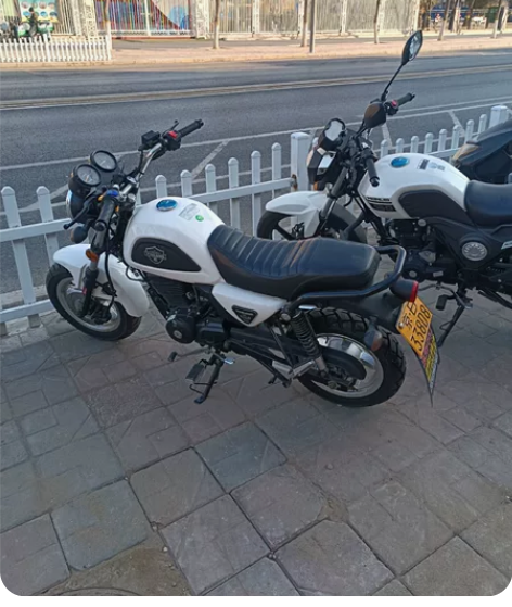 银钢，小迷你，建设TR250，三阳飞度四A...