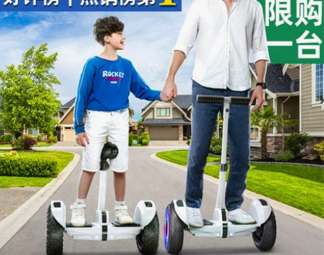 德国ZOLA官方旗舰店2023新款平衡车智...