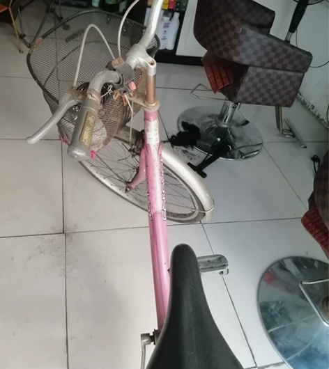 永久牌自行车,买了个电动车,要不上了,卖掉...