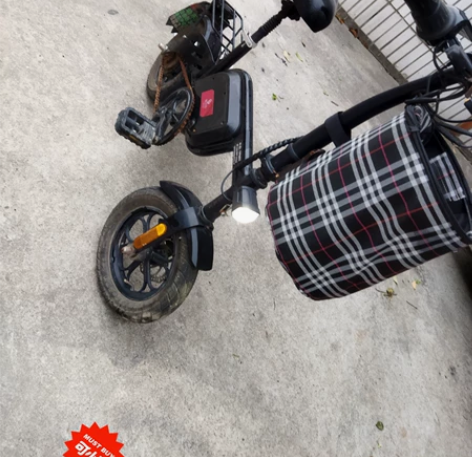 锂电池电动车  阿尔郎电动车 折叠电动车 ...