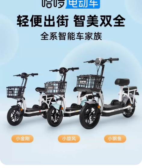 哈啰电动车,买来一年,刚过保 杭州自提,金...