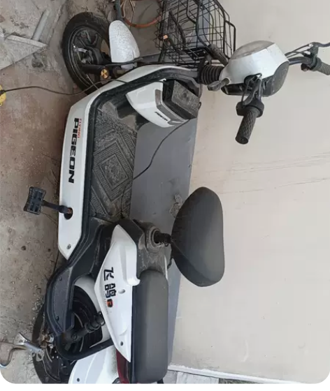 飞鸽电动自行车,骑行没超过十次,总闲置在看...
