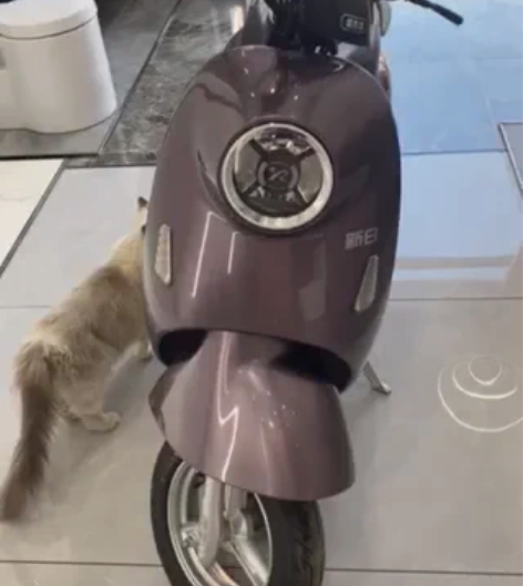 可以在家里充电的日新日锂电池智能电动车，续...