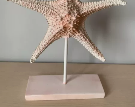 【全新】北欧创意海星摆件装饰品大号，无磕损...