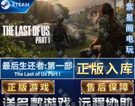 最后的生还者第一部重置版Steam正版CD...