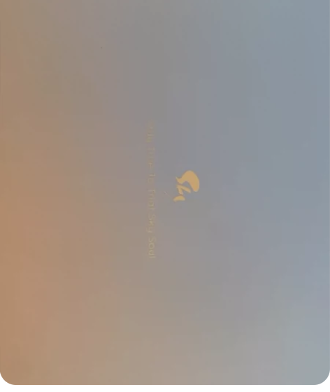 光遇三周年礼盒 有一只冥龙玩偶 一个徽章 ...