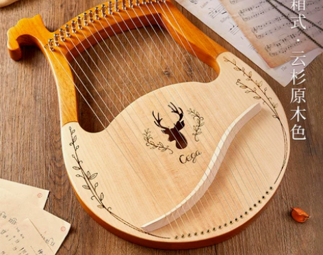 19弦莱雅琴，心血来潮买的，弹了几次就放那...