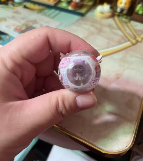 出zuru5倍球，粉球仙子球福袋，仙子球?...