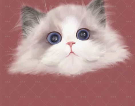 宠物约稿|猫猫狗狗头像约稿|写实宠物头像手...