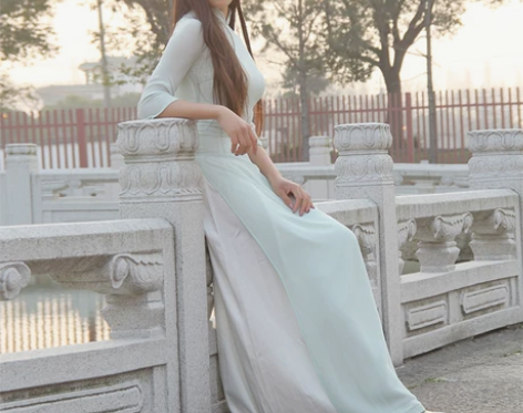 长裙女夏修身雪纺文艺显瘦奥黛旗袍立领中国风...