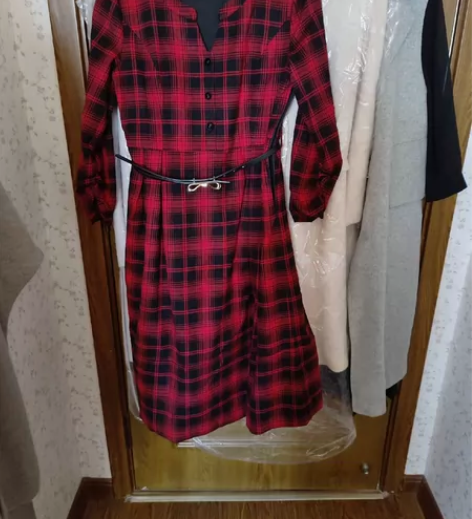 衣服是田园风，春秋冬三季可穿，袖子很有特色...