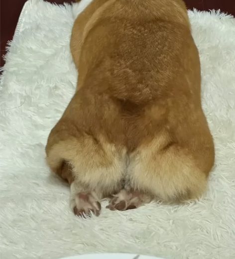 谁来跟我互借cos服拍照！ 列表的都能互借...