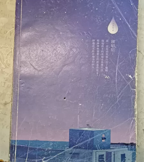 《天空不要为我掉眼泪》 微酸袅袅著 写尽爱...