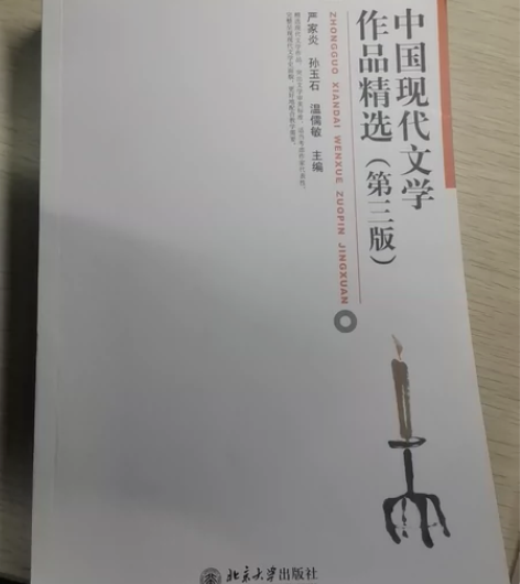 中国现代文学作品精选(第三版)严家炎 孙玉...