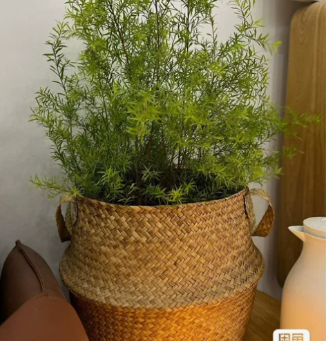 花篮【花坊倒闭+送防水壳】草编织花篮花盆宜...