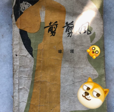 琼瑶小说 《剪剪风》成色如图 喜欢收藏的可...