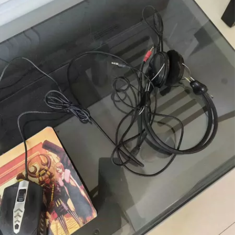 戴尔笔记本电脑2011年，搁置很久，有灰。...