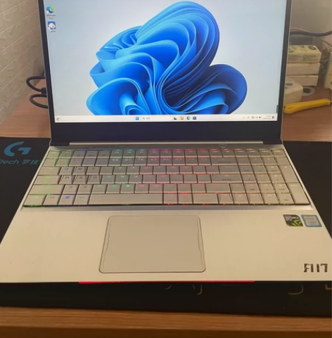 机械师f117b i7-8750h 105...