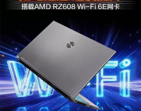 机械革命蛟龙15 R5-6600H 305...