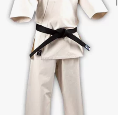 ISAMI 极真空手道道服 K400，K4...