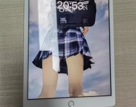 女大学生自己用的iPad Air4 202...