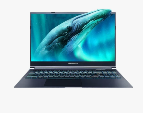 机械革命极光PRO 12代i7 12700...