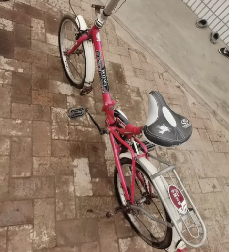 飞鸽牌折叠儿童车 感兴趣的话点“我想要”和...