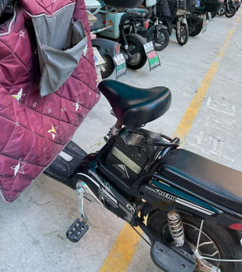 飞鸽弗兰德电动车19年12月买的  自用 ...