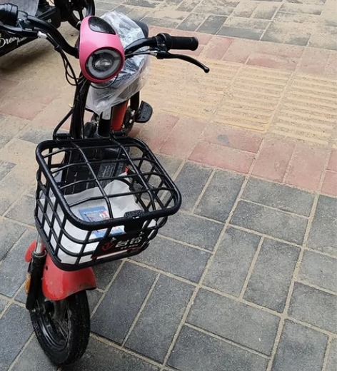 闲置一台 台铃电动车 充满电大约骑行40㎞...