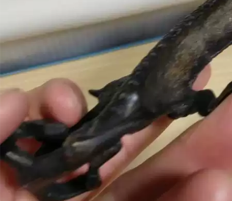 铜螭龙笔架,长15cm,最宽处3cm。这是...