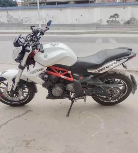 贝纳利黄龙三百  BJ300GS   三减...