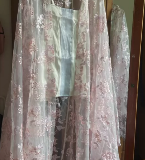 东月棠原创【春樱】汉服齐腰齐胸裙大袖衫宋制...