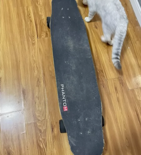 滑板，全能班，战翼幻影 战翼长板kille...