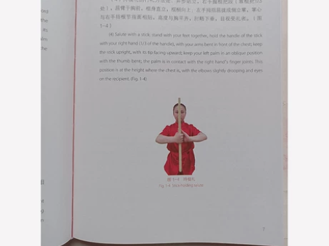 正版书籍 南拳 精装版 高楚兰技术内容 武术